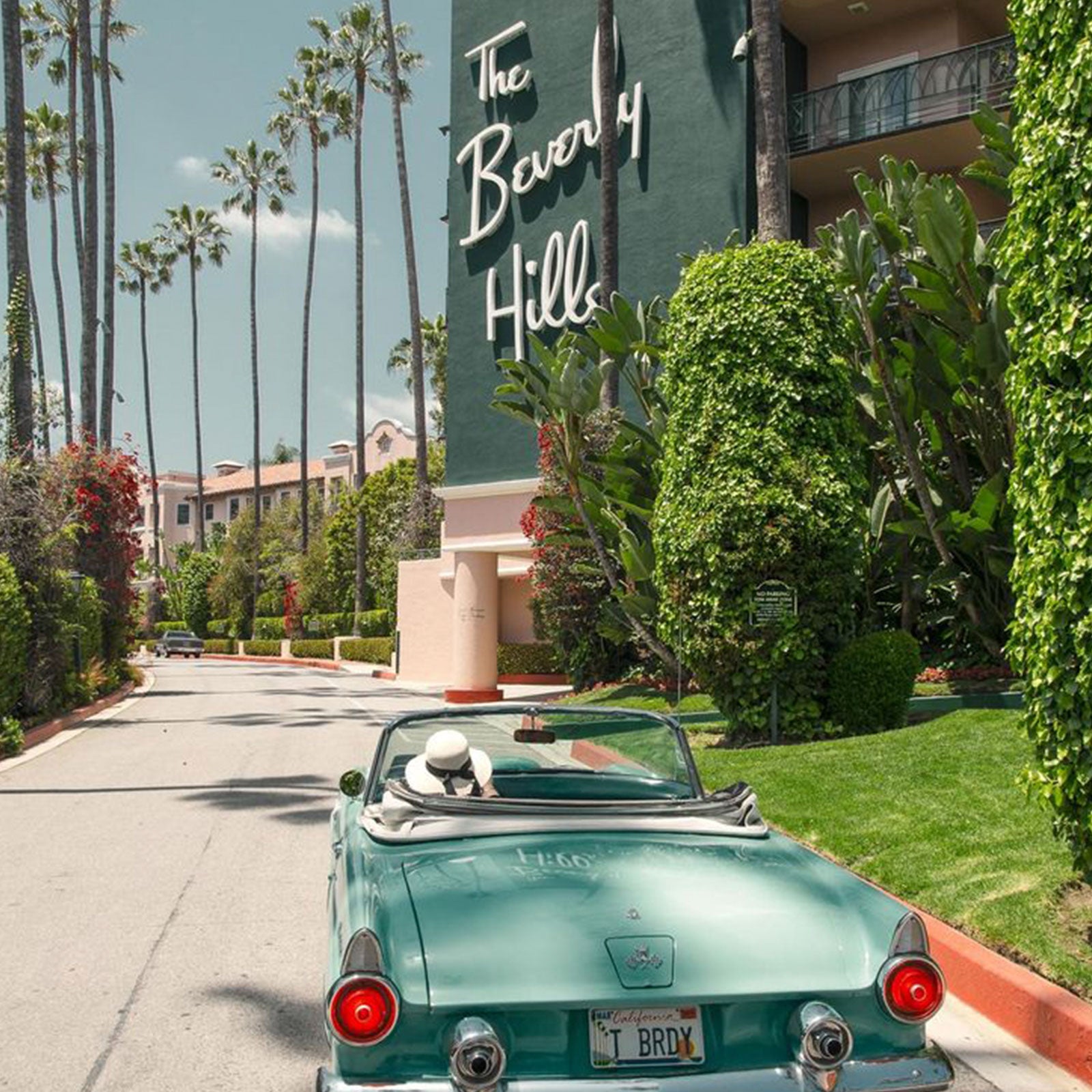The Timeless Elegance of the Beverly Hills Hotel: A Glimpse into Vintage Interior Design and Art