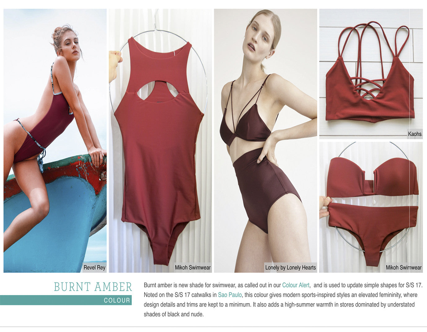 WGSN-Trend Analysis